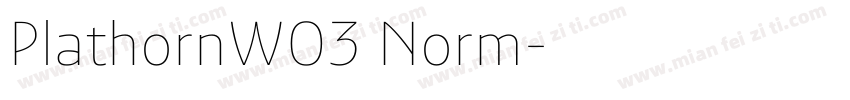 PlathornW03 Norm字体转换